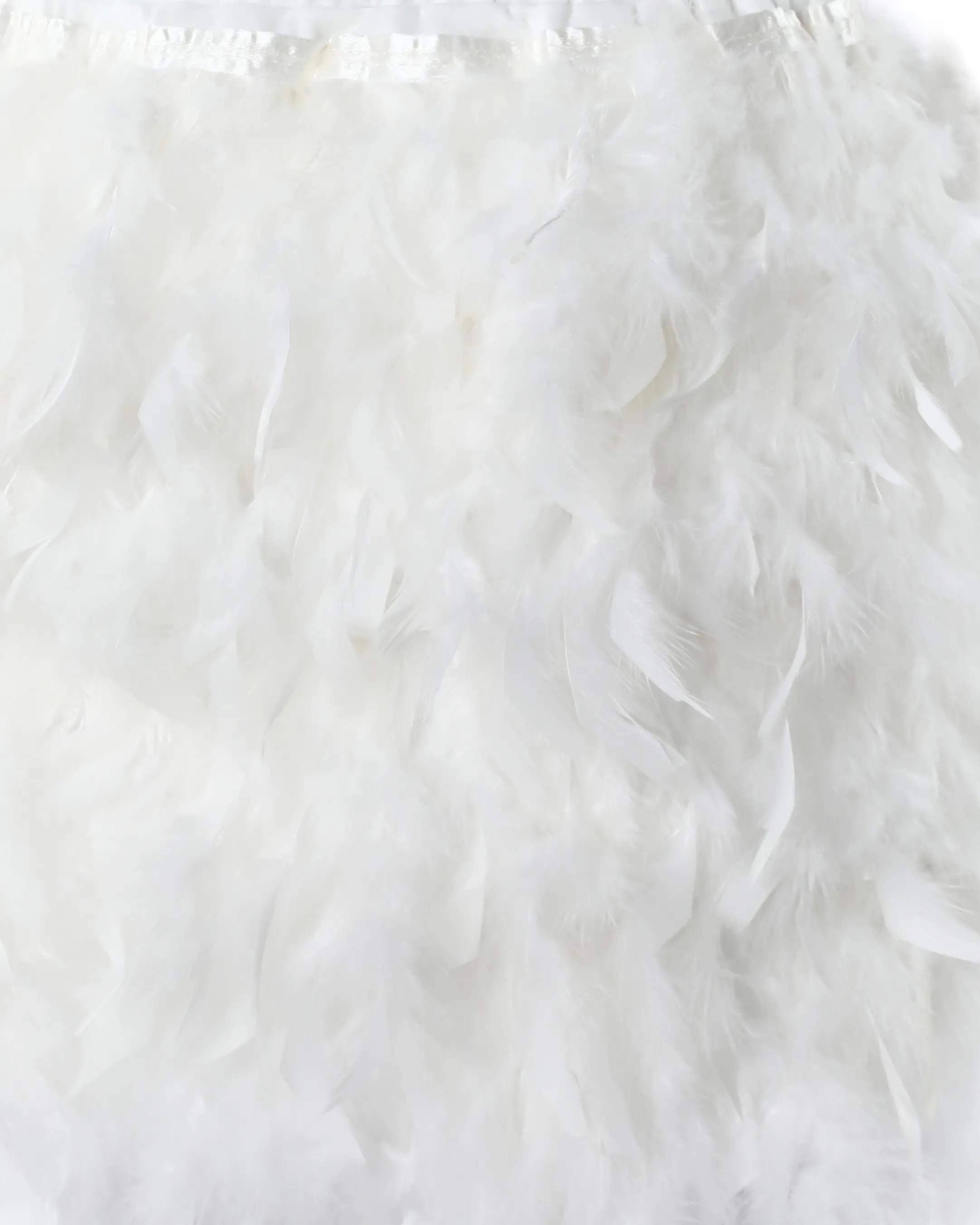 Body Suit With Feather Skirt